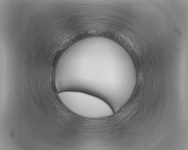 X0000116861012200912220938