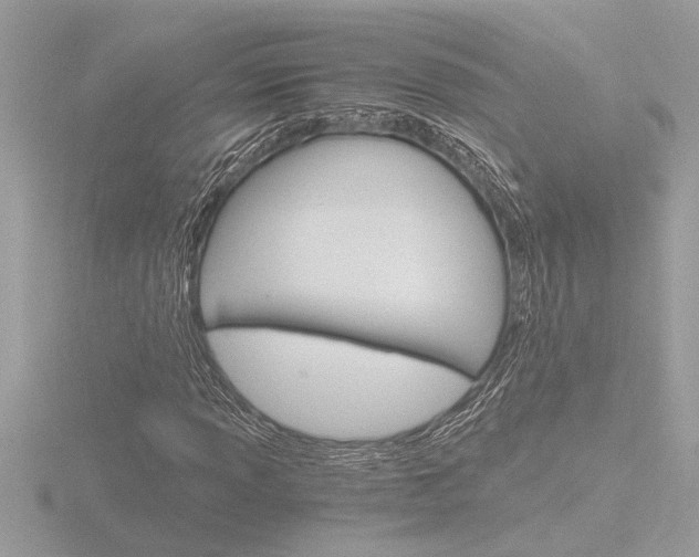 X0000116861013200912220938