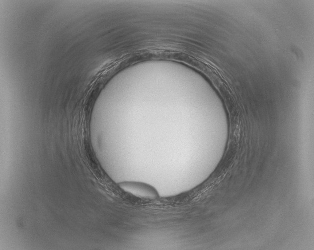 X0000116861014200912220938