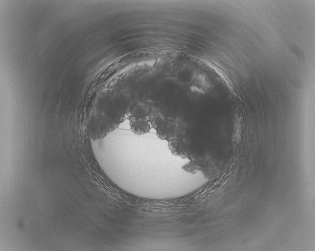 X0000116861015200912220938