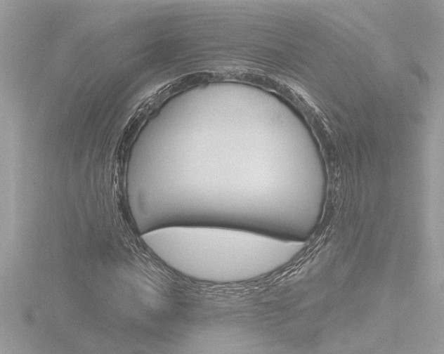 X0000116861016200912220938