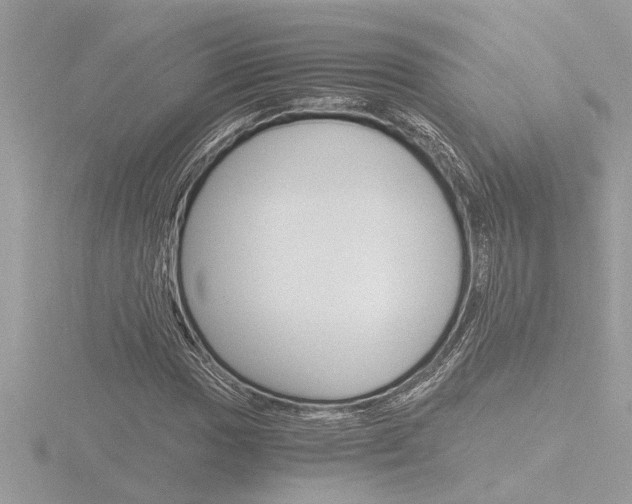 X0000116861017200912220938