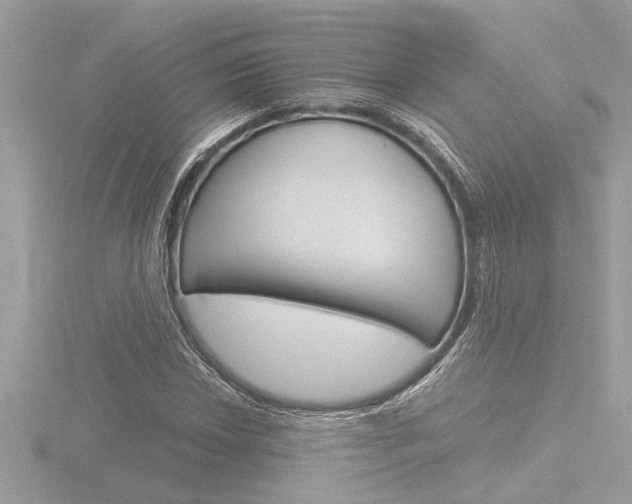 X0000116861018200912220938