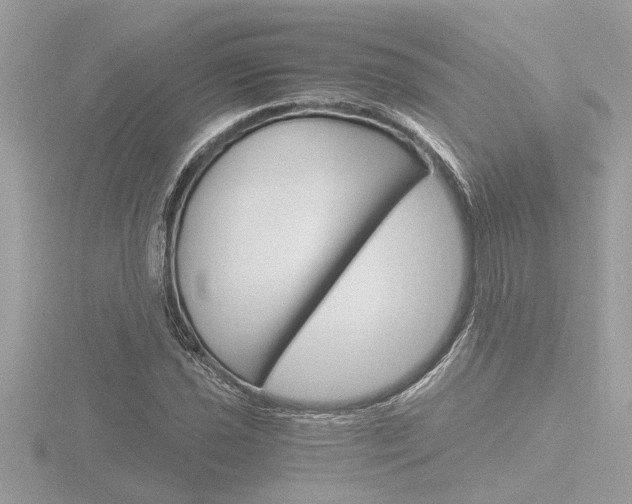X0000116861021200912220938