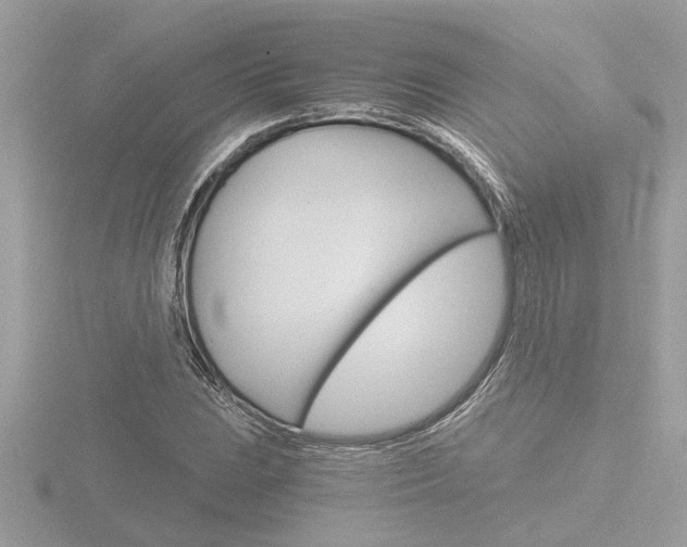 X0000116861023200912220938