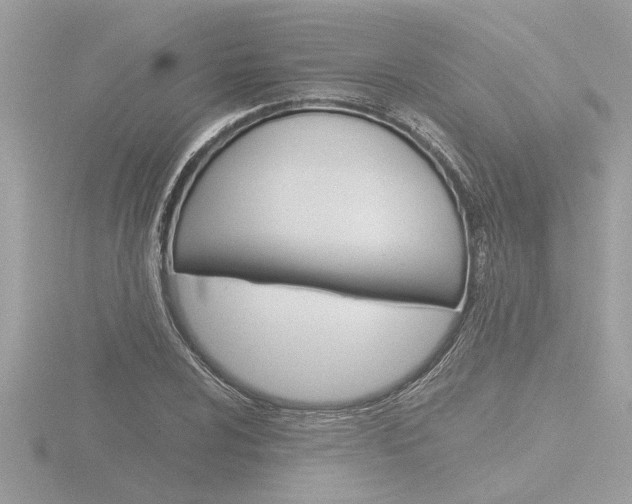 X0000116861024200912220938