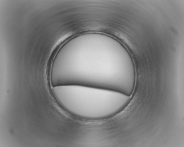 X0000116861026200912220938