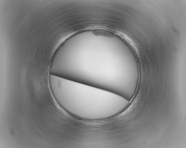 X0000116861049200912220938