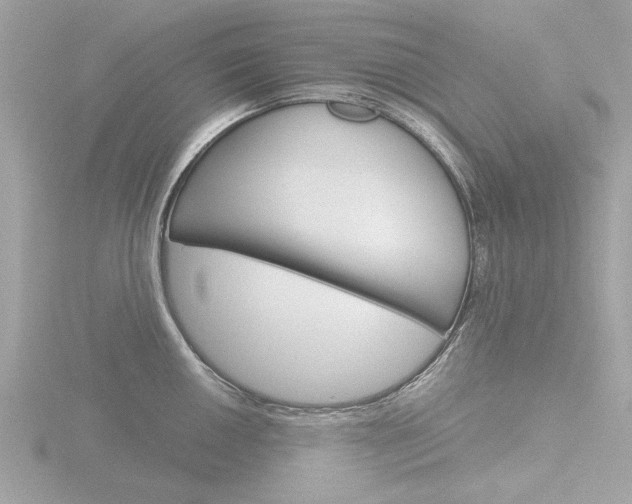 X0000116861050200912220938