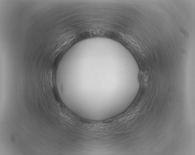 X0000116861060200912220938