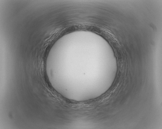 X0000116861061200912220938