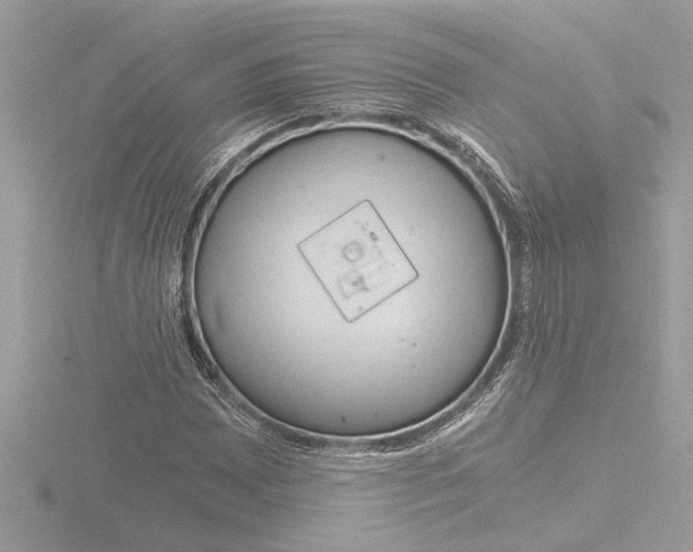 X0000116861065200912220938