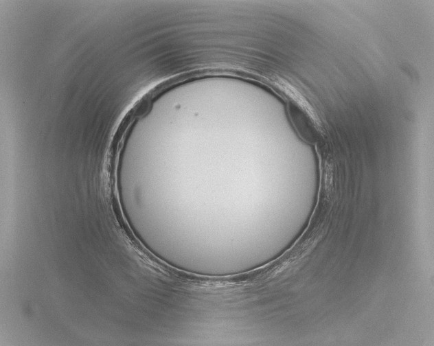 X0000116861068200912220938