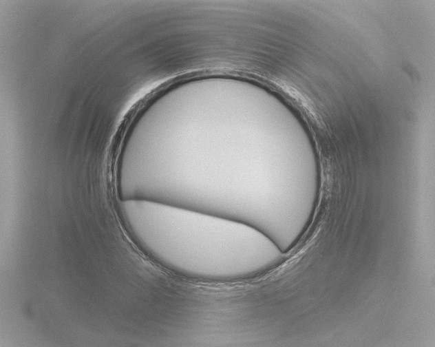 X0000116861070200912220938
