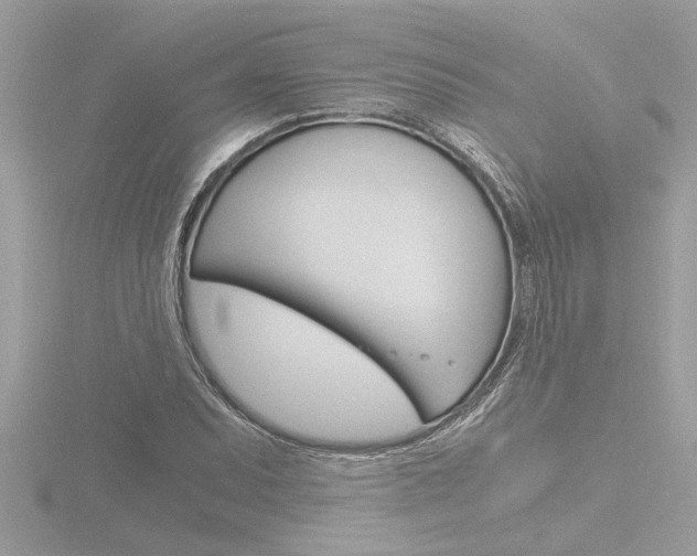 X0000116861071200912220938