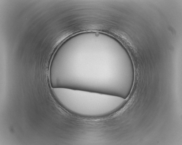 X0000116861073200912220938