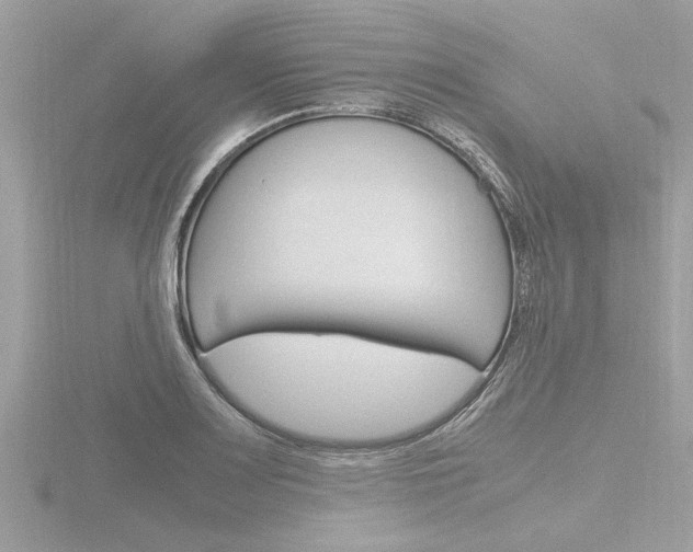 X0000116861083200912220938
