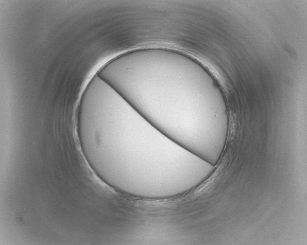 X0000116861102200912220937