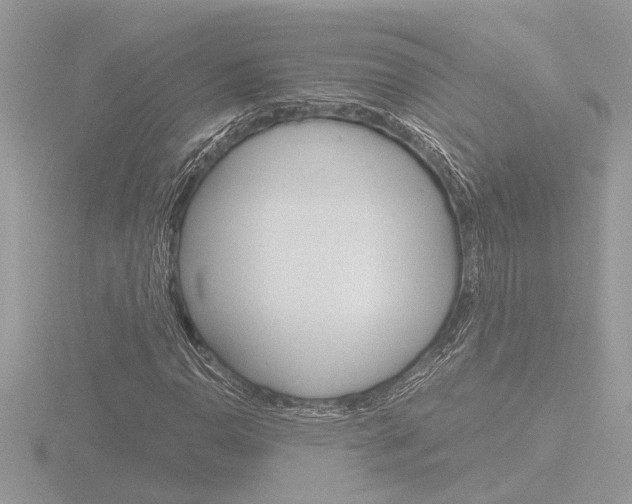 X0000116861110200912220937