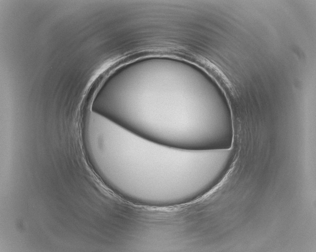 X0000116861114200912220937