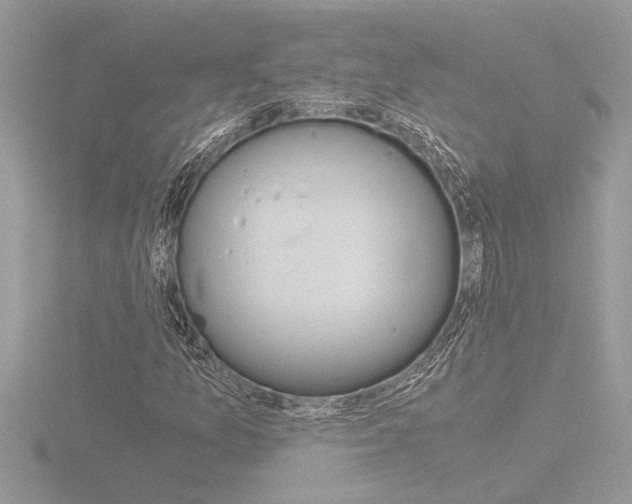 X0000116861157200912220937