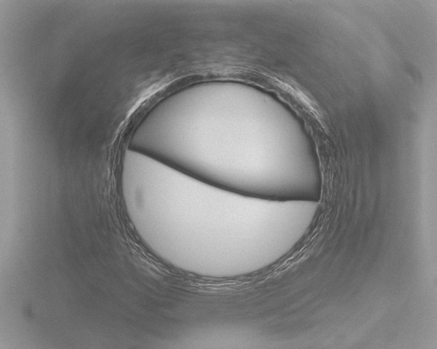 X0000116861160200912220937