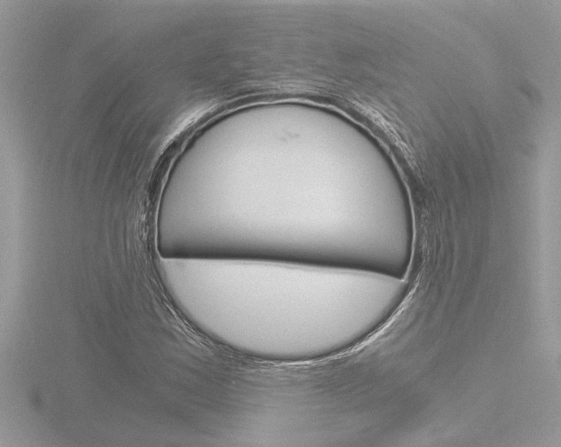X0000116861163200912220937