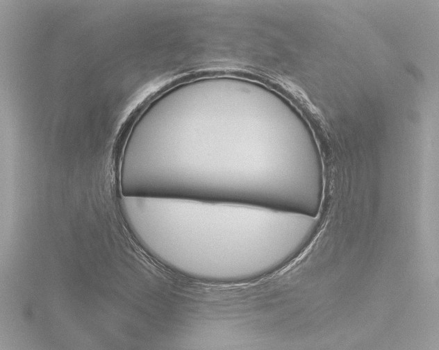 X0000116861167200912220936