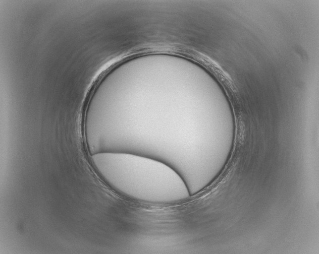 X0000116861174200912220936