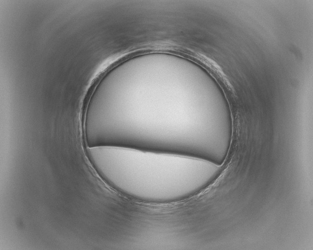X0000116861176200912220936