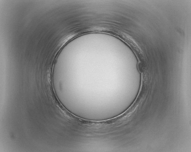 X0000116861177200912220936