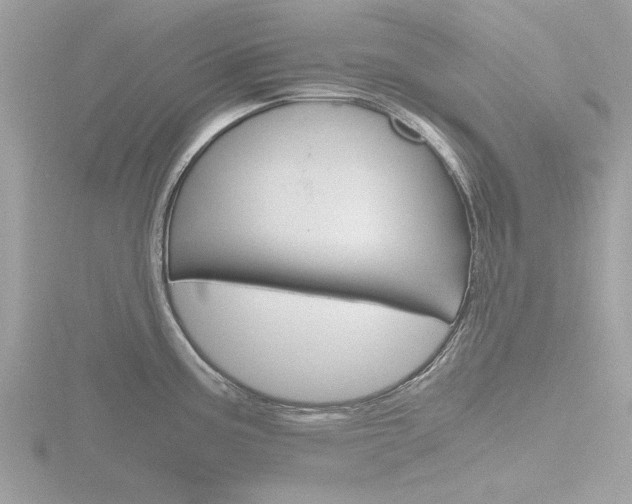 X0000116861195200912220936