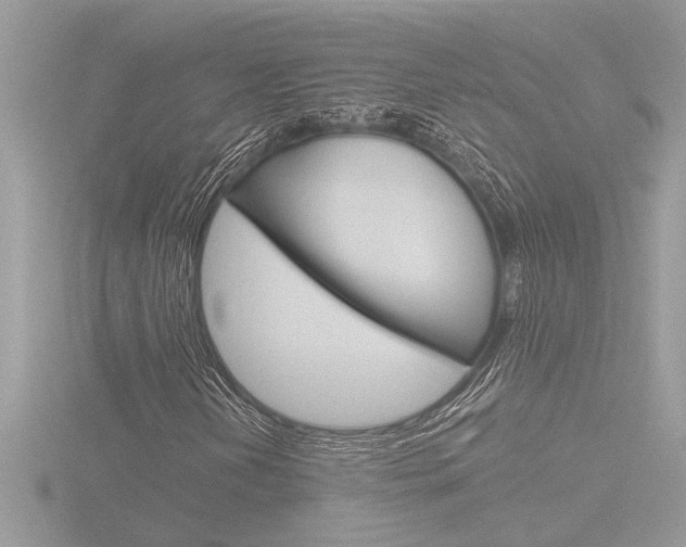 X0000116861202200912220935