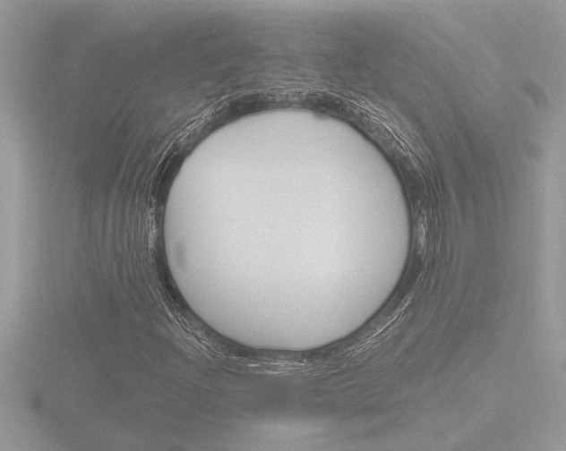 X0000116861204200912220935