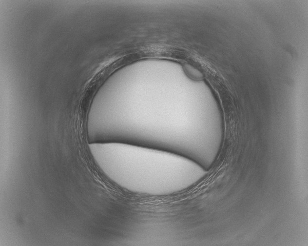 X0000116861206200912220936