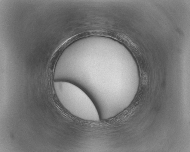 X0000116861208200912220936