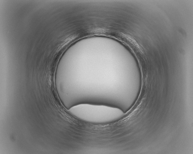 X0000116861209200912220936