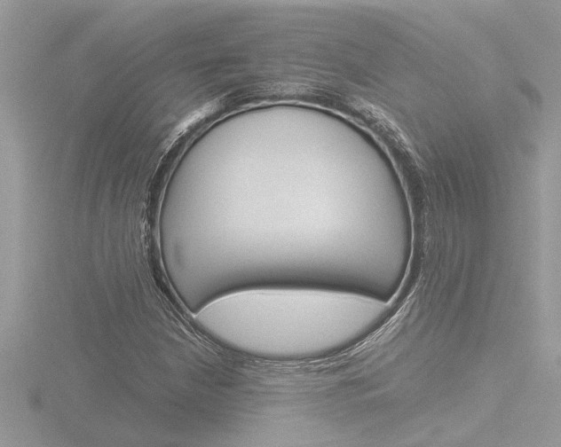 X0000116861210200912220936