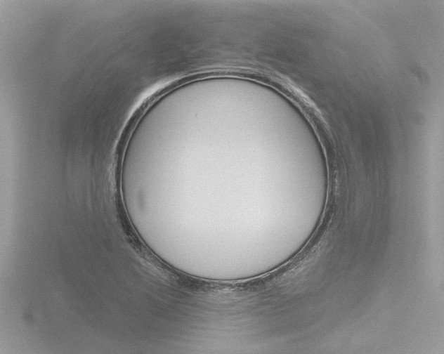 X0000116861222200912220936