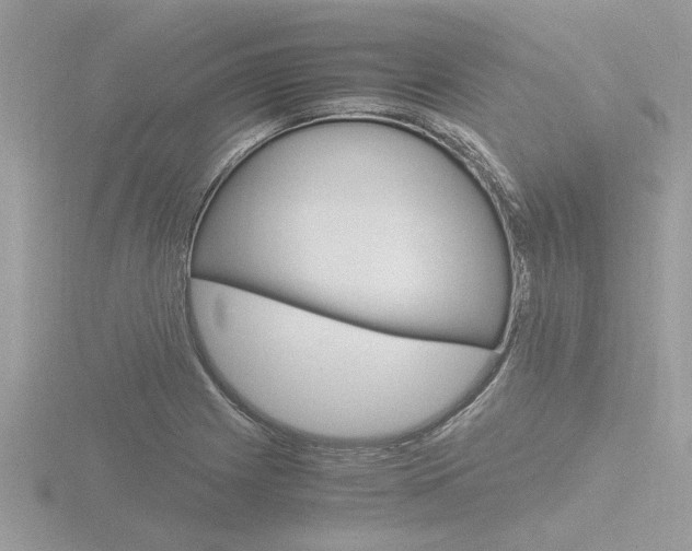 X0000116861225200912220936