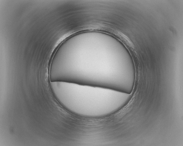 X0000116861226200912220936