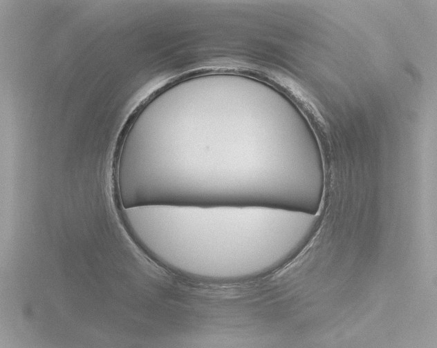 X0000116861229200912220936