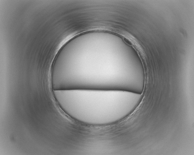X0000116861242200912220936