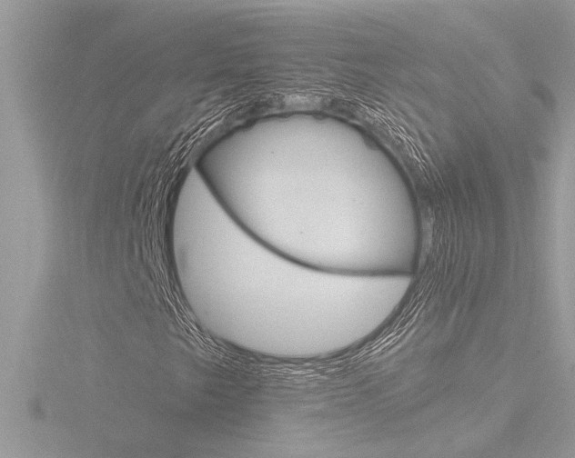 X0000116861249200912220935