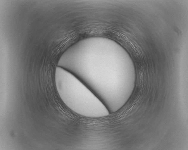 X0000116861250200912220935