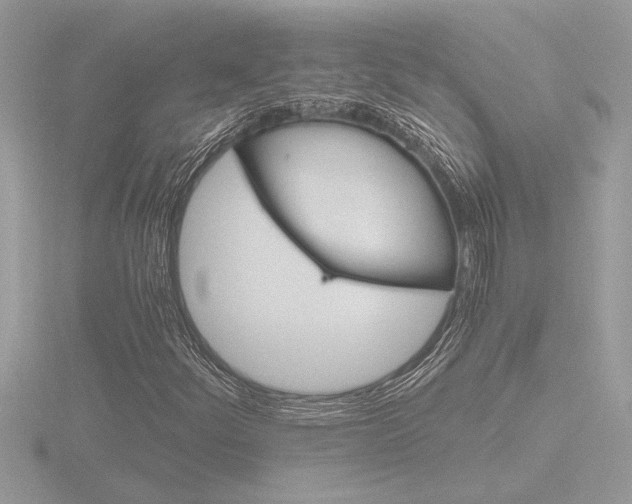 X0000116861252200912220935