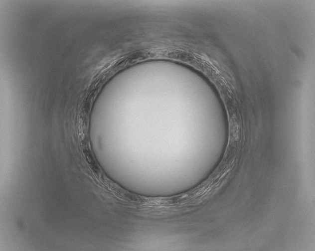X0000116861253200912220935