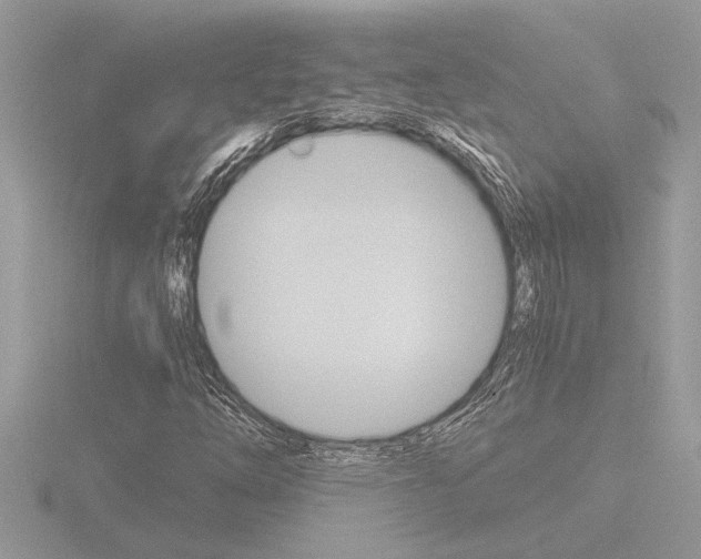 X0000116861254200912220935
