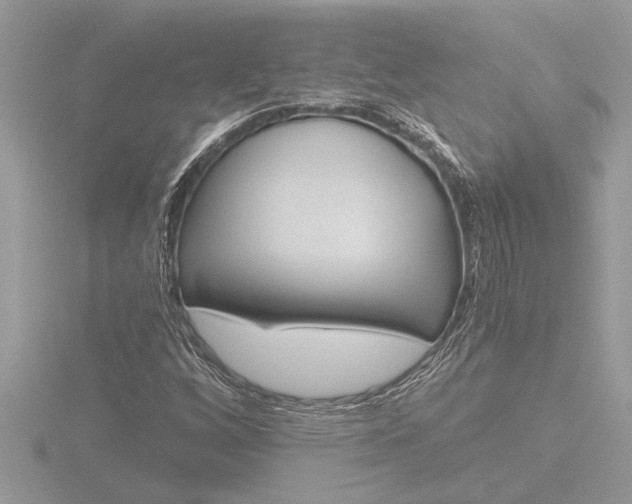 X0000116861256200912220935
