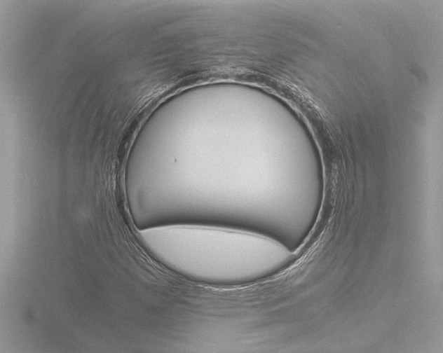 X0000116861257200912220935